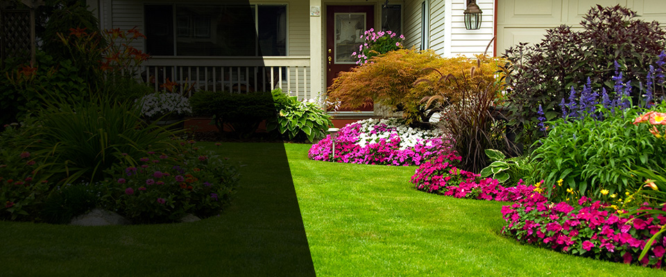 Valentine Landscapers